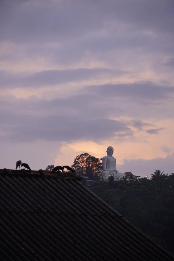 City View Hostel キャンディー エクステリア 写真